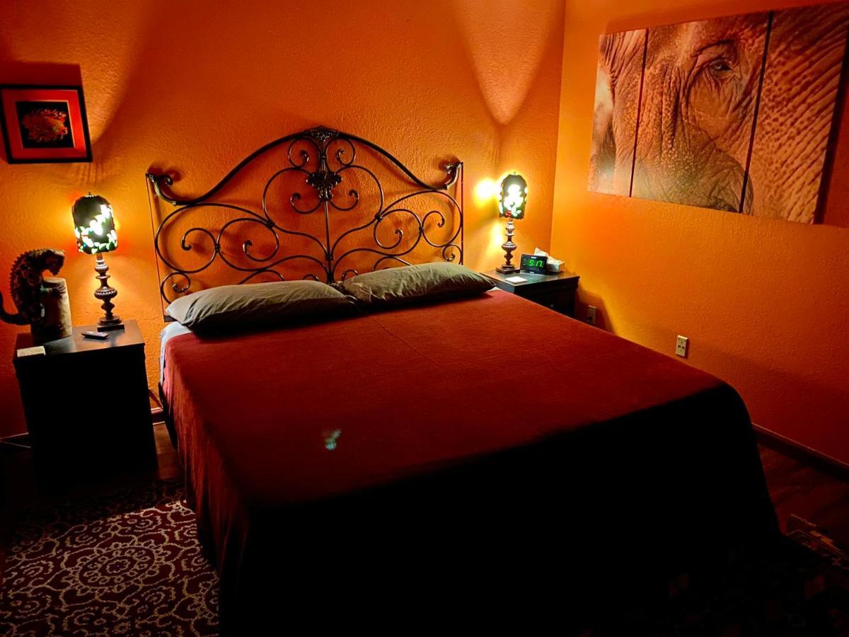 My Big Art Project Bed & Breakfast Santa Rosa Luaran gambar